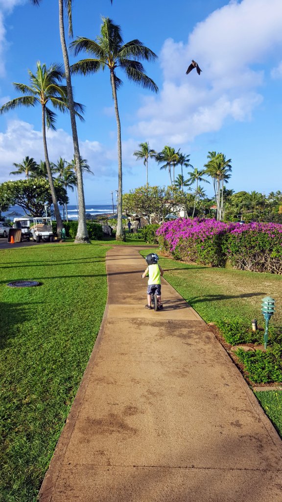 Where to stay on Kauai - Walking Path From Shipwreck Beach to Poipu Beach