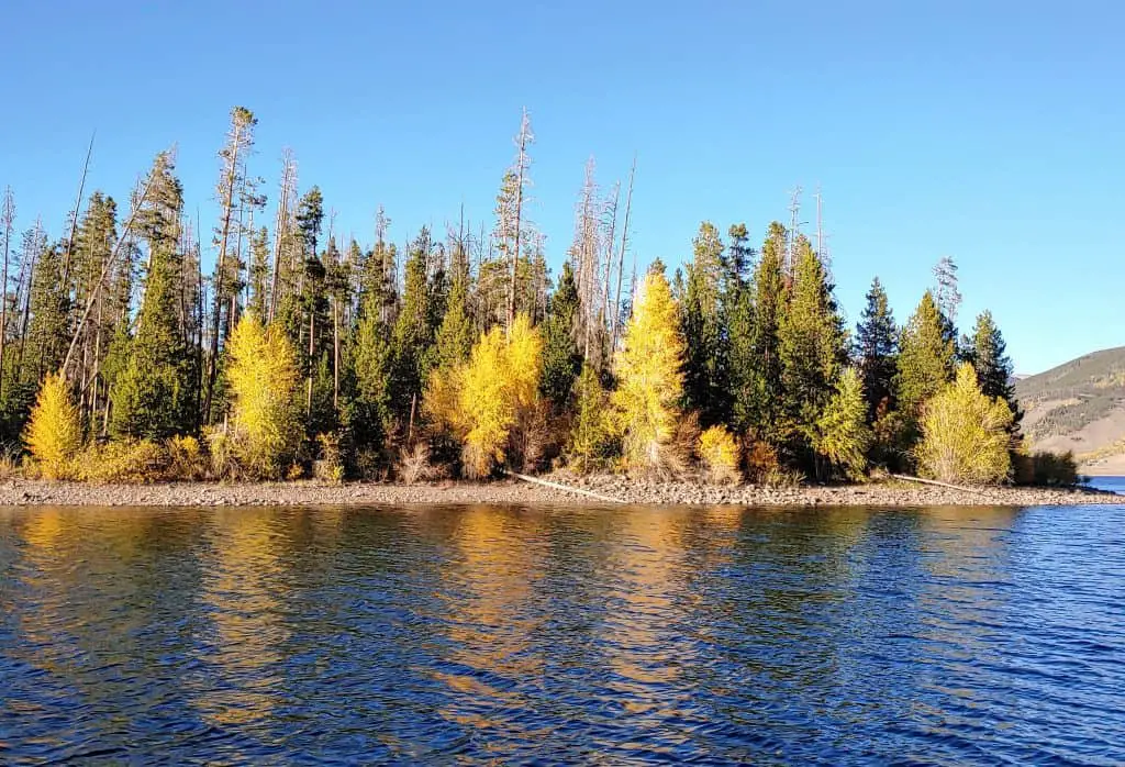 fall colors along the shore of Lake Dillon