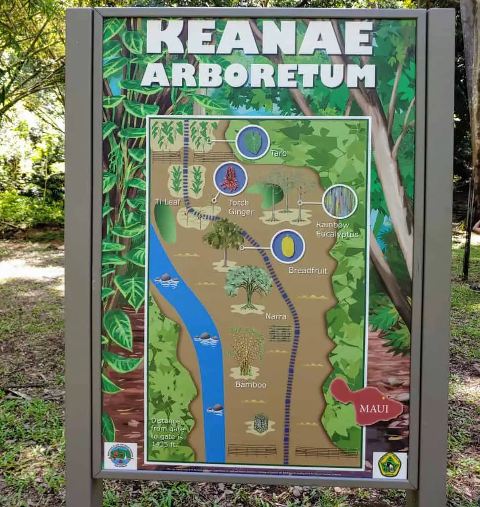 Map of the Keanae Arboretum along the road to Hana