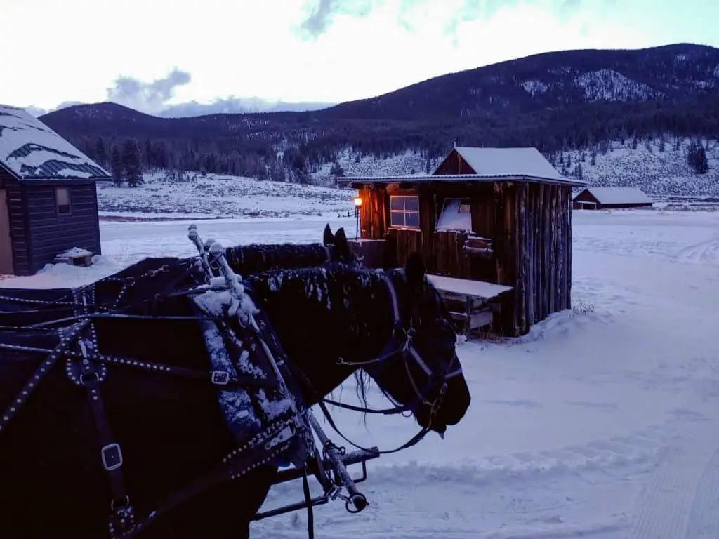 horses pulling a sleigh in keystone colorado - The dinner sleigh ride is one of the fun things to do in Keystone besides skiing
