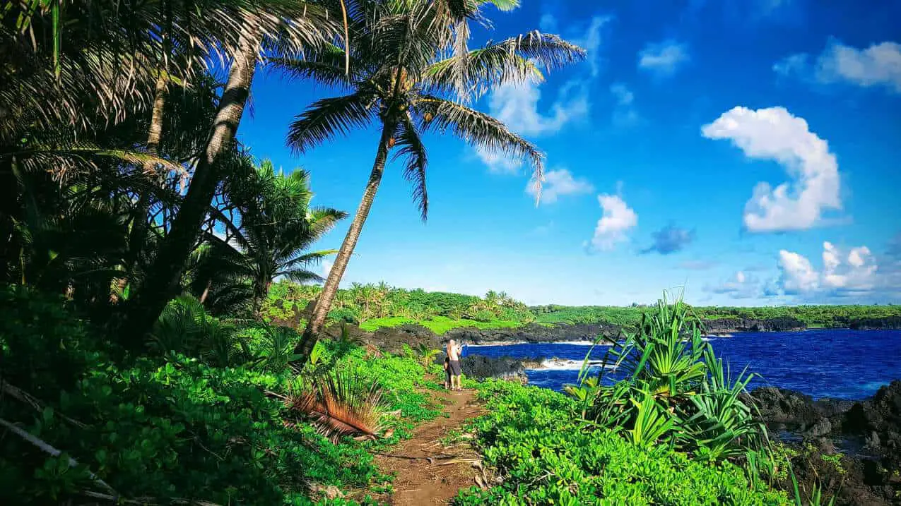 Trail behind the Wai'anapanapa State Park Cabins