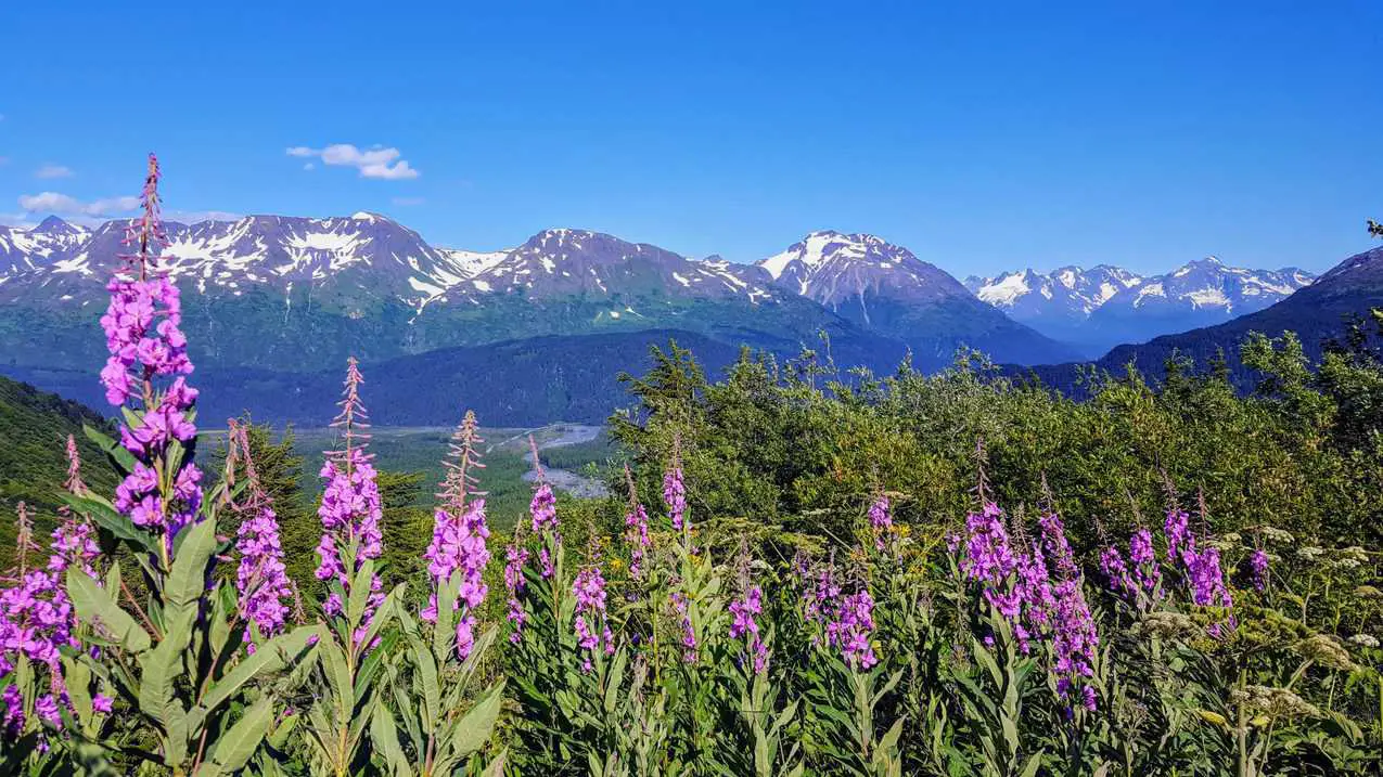 The Ultimate Alaska Road Trip - 10 Day Itinerary - Travels With Eli