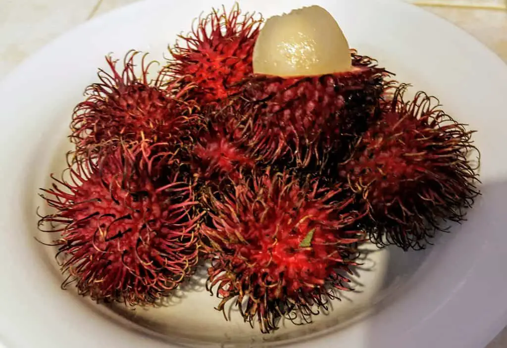 Lychee fruit from Hawaii in a bowl.  One is cut open to show the fruit inside. Fruit in Hawaii
