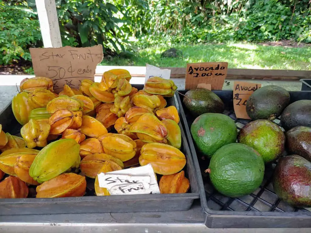 star fruit and avocado at a fruit stand in Hawaii