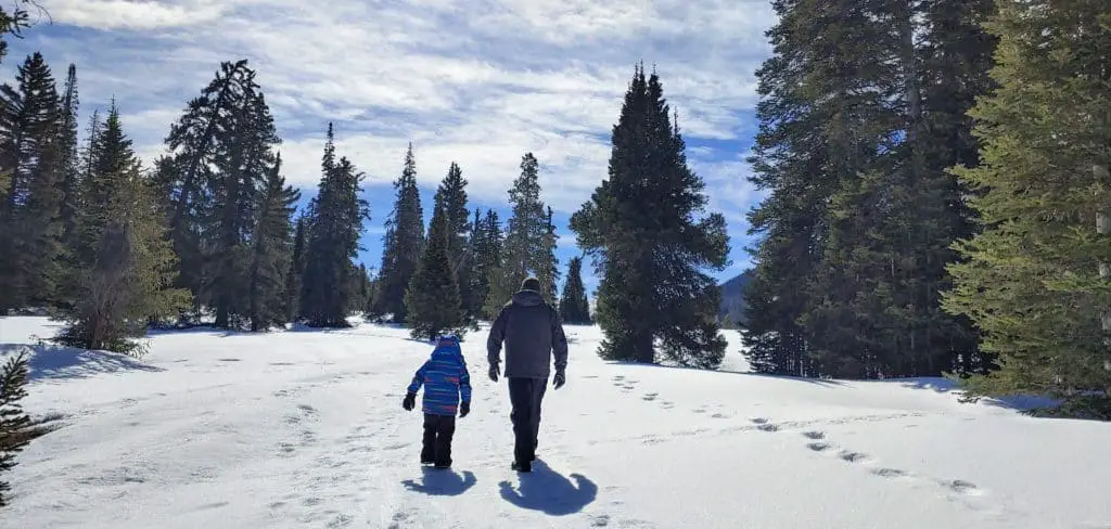 Father and son walking in the snow in the woods