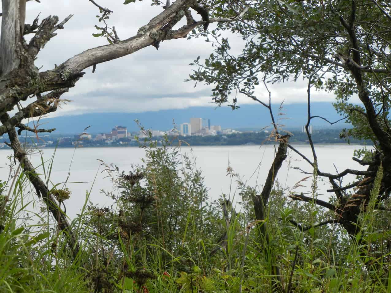 View of Anchorage, Alaska through the trees and over the water