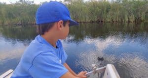 Boy in an airboat in the everglades looking at an alligator in the water