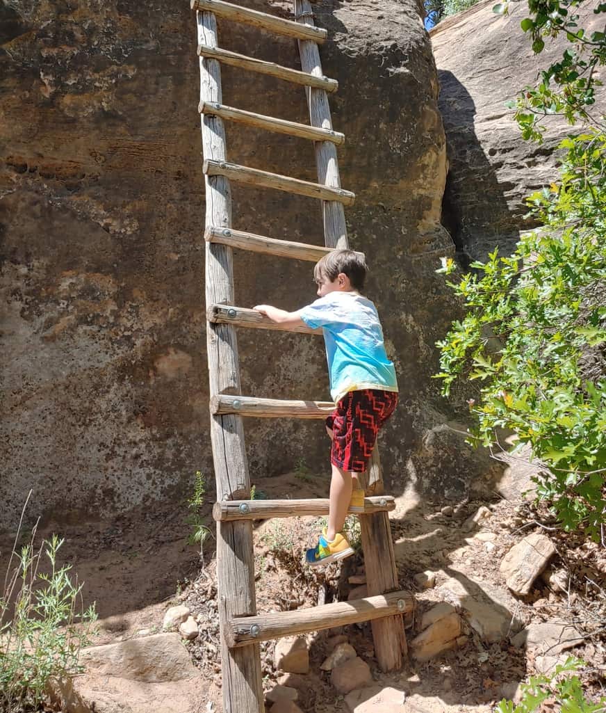 boy going up a ladder on Cave Springs Trail in the Needles District of Canyonlands National Park