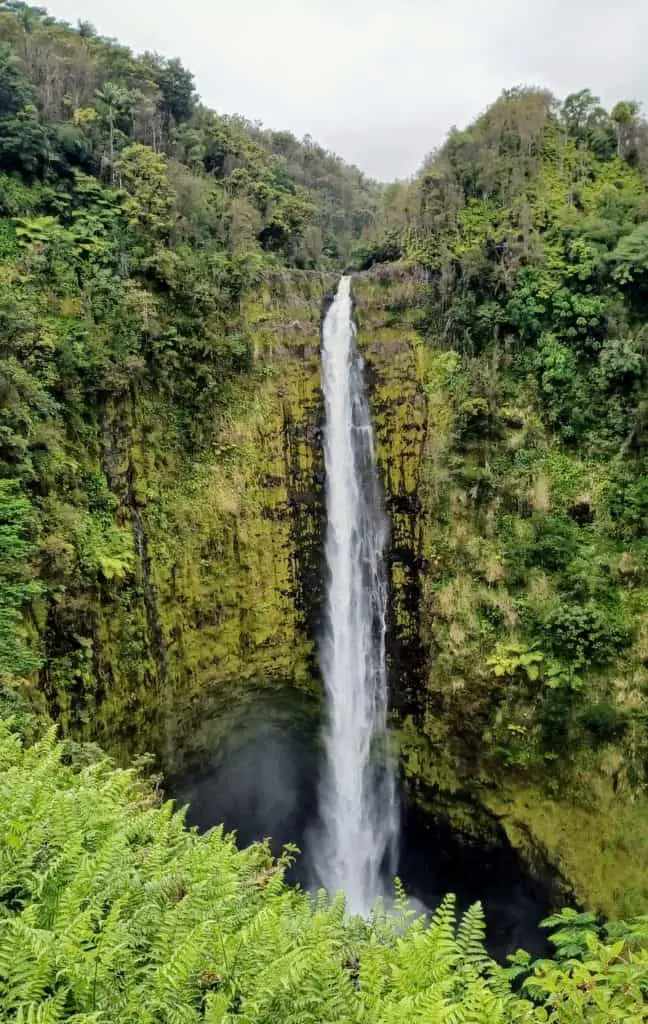 Akaka falls on the Big Island of Hawaii