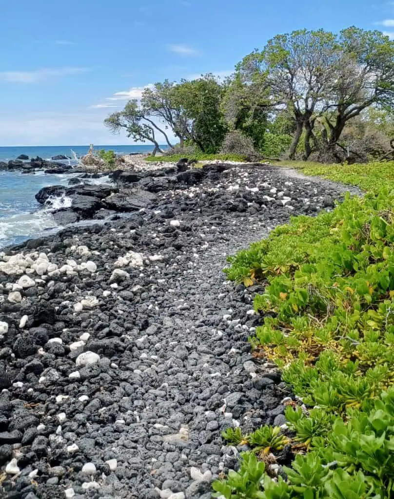 Coastal trail in Waikoloa Hawaii