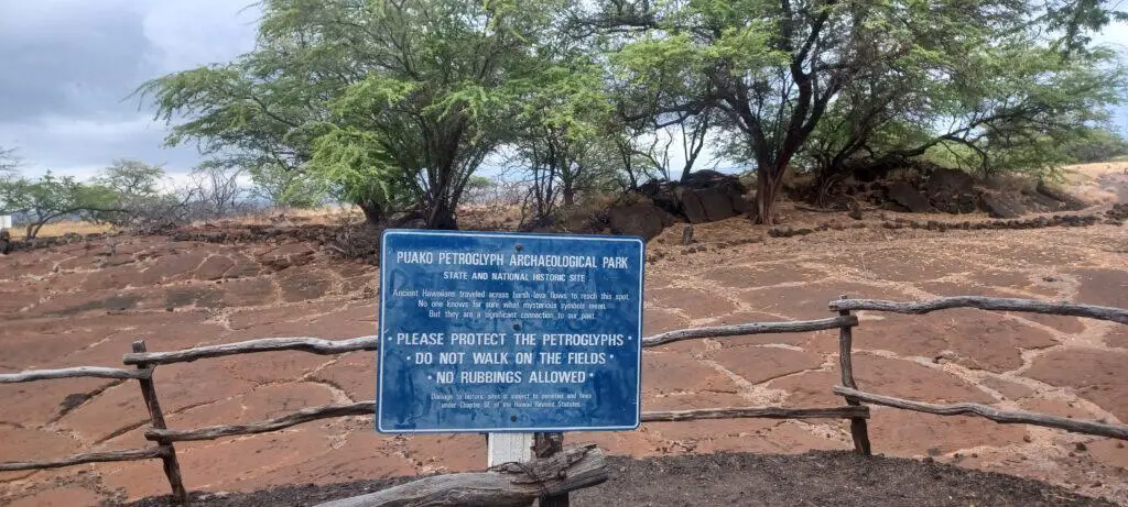 ancient Hawaiian petroglyphs at the Puakō Petroglyph Field