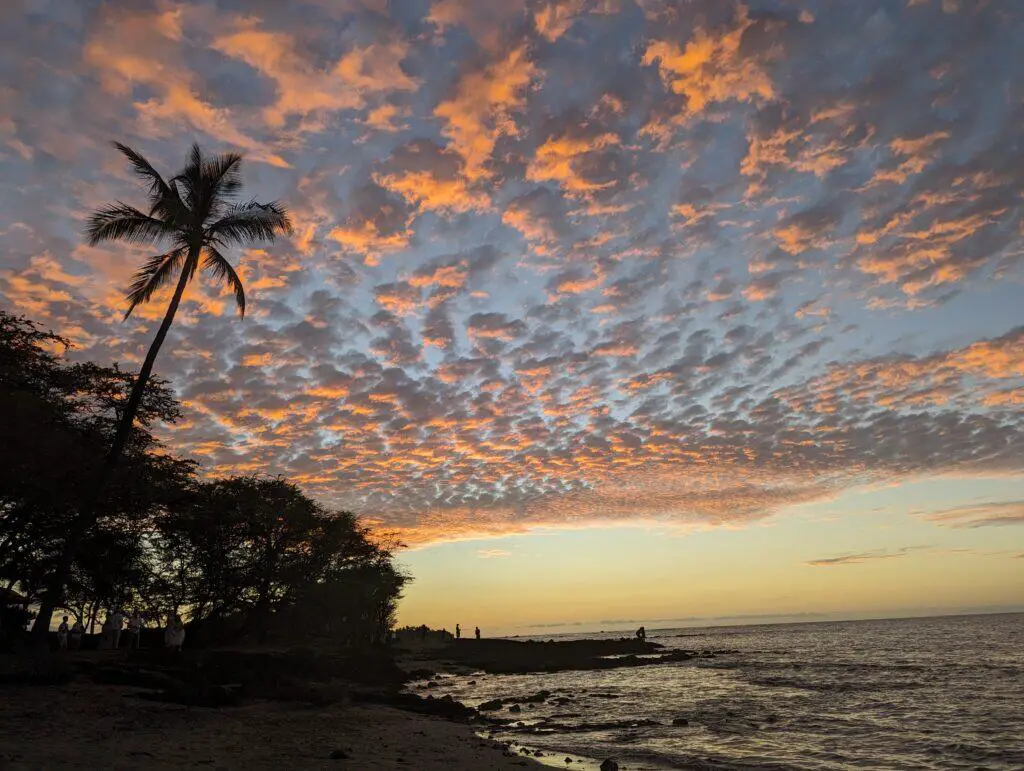 Palm tree and the sunset over the ocean at Waikoloa Hawaii