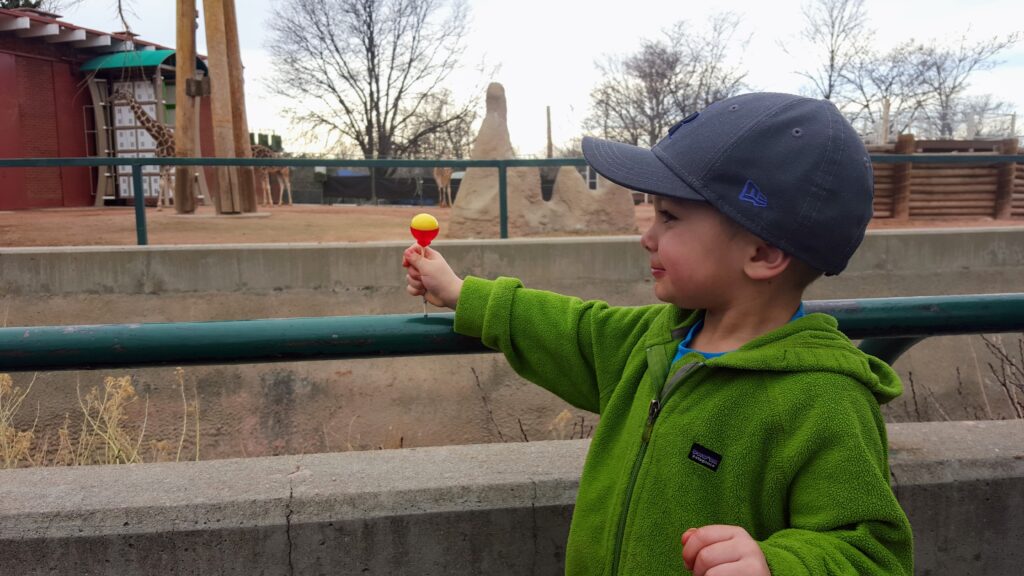 boy looking at giraffes at the Denver Zoo