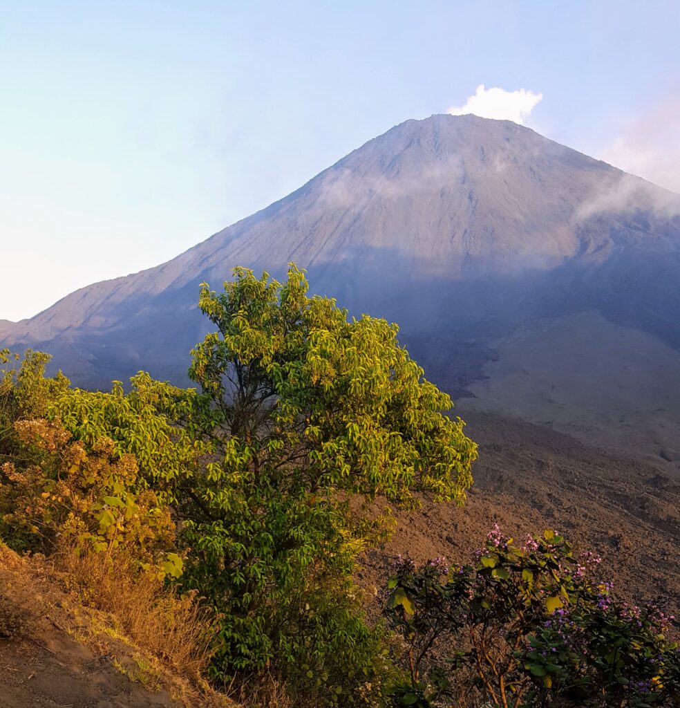 Pacaya Volcano in Guatemala  with smoke coming out of the top.