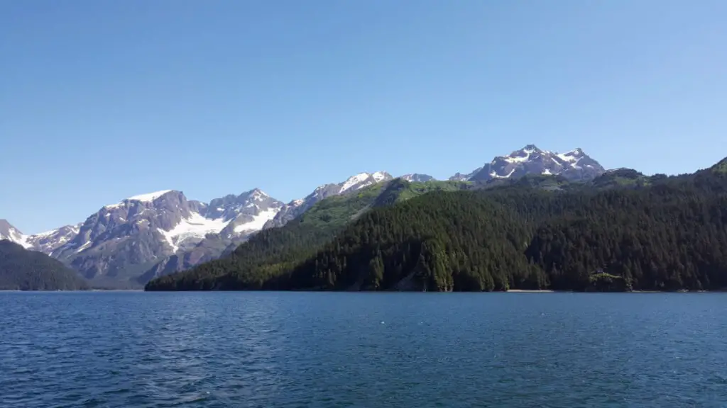 view from a whale watching boat on a sunny summer day in Seward Alaska