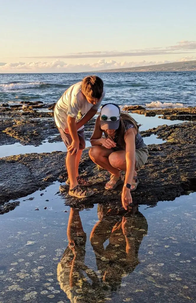 Mother and son looking into a tide pool at sunset on the Big Island of Hawaii